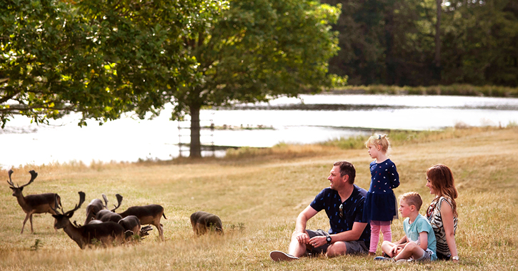 Raby Castle Deer Park